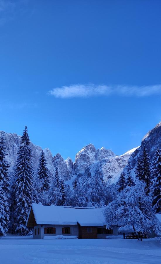 Sport Manca Garni Hotel Radovljica Exteriér fotografie